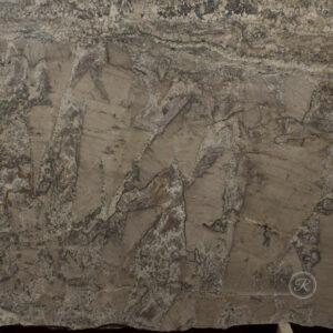 Brown Beauty Leather - Image 2