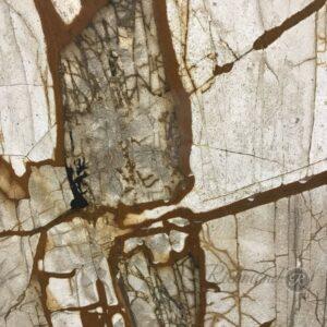 Roma Imperiale Polish - Image 3