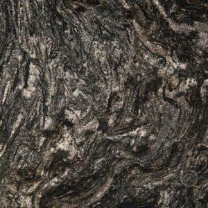 Black Forest - Image 1