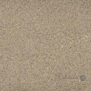 Coronado - Image 1