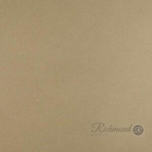 Desert Bloom - Image 1