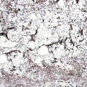 Mystic Spring - Image 1