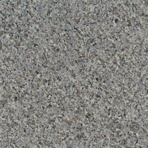 Swan Gray - Image 2