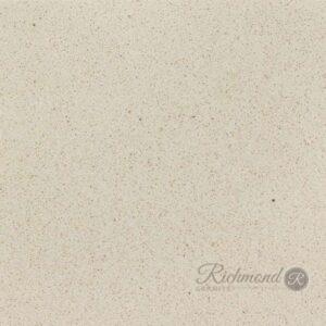 Pismo Dune - Image 1